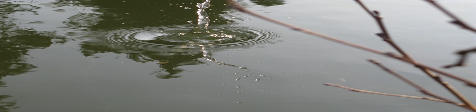 ../bandeau/1.jpg?refresh=1770537144